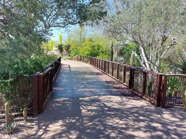 Walking bridge entrance to the Desert Botanical Gardens.